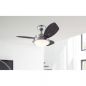 Preview: Westinghouse Deckenventilator Wengue chrom